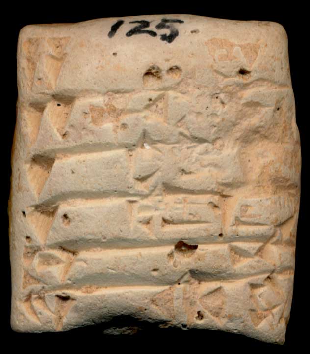 Thumbnail of Cuneiform Tablet (1913.14.0531)