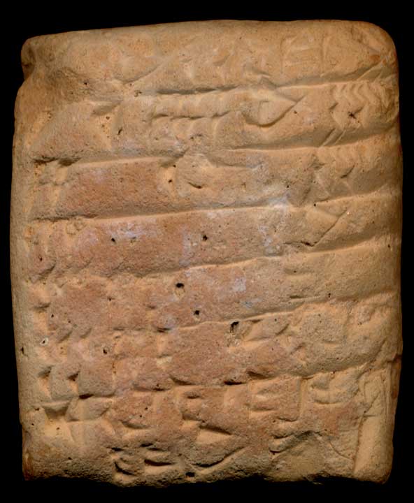 Thumbnail of Cuneiform Tablet (1913.14.0556)