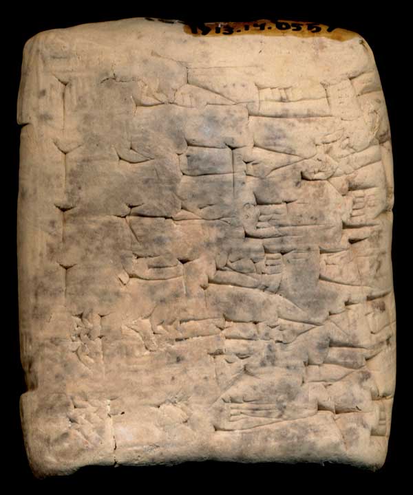 Thumbnail of Cuneiform Tablet (1913.14.0557)