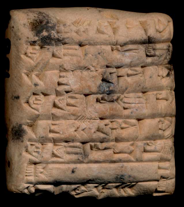 Thumbnail of Cuneiform Tablet (1913.14.0558)
