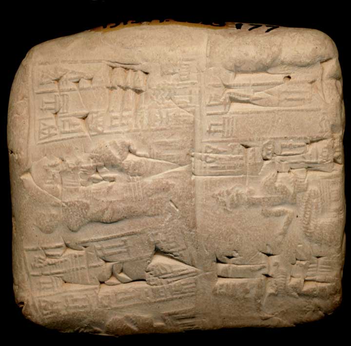 Thumbnail of Cuneiform Tablet (1913.14.0583)