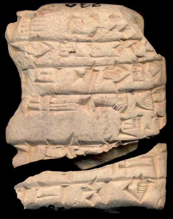 Thumbnail of Cuneiform Tablet (1913.14.0636)