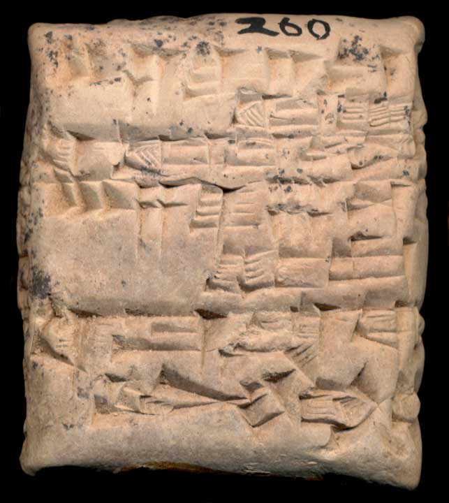 Thumbnail of Cuneiform Tablet (1913.14.0666)