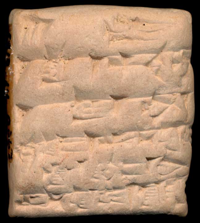 Thumbnail of Cuneiform Tablet (1913.14.0667)