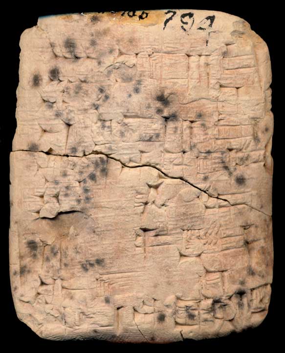 Thumbnail of Cuneiform Tablet (1913.14.0700)