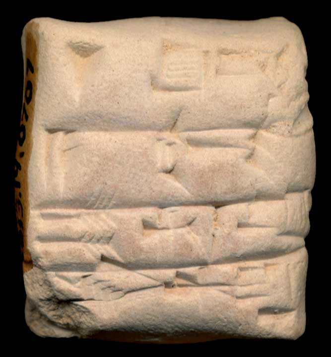 Thumbnail of Cuneiform Tablet (1913.14.0707)