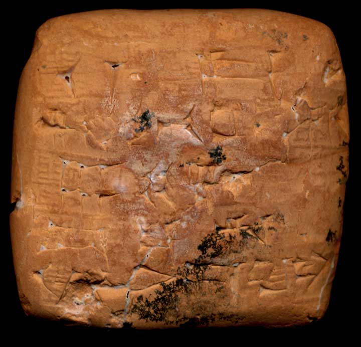 Thumbnail of Cuneiform Tablet (1913.14.0816)