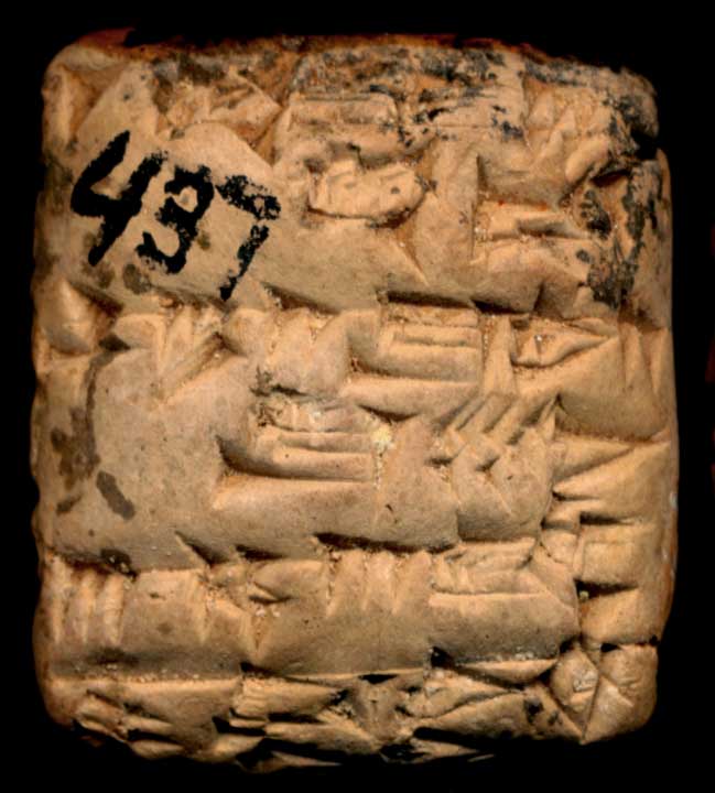 Thumbnail of Cuneiform Tablet (1913.14.0843)