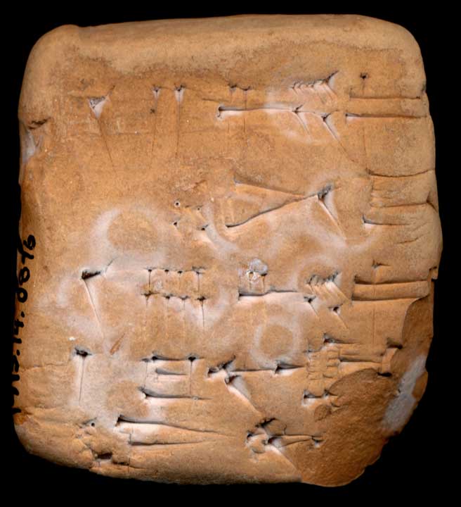 Thumbnail of Cuneiform Tablet (1913.14.0876)