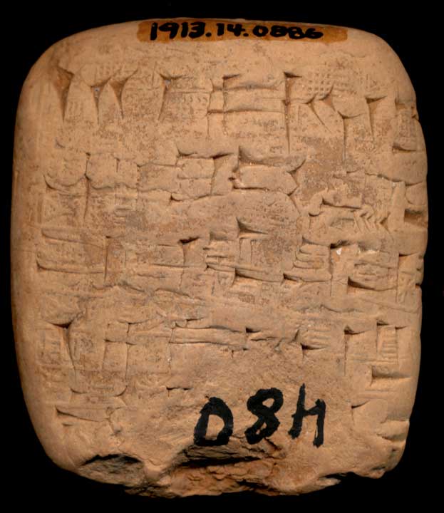Thumbnail of Cuneiform Tablet (1913.14.0886)