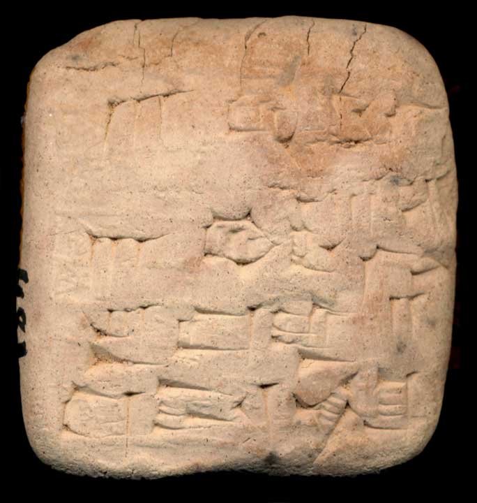 Thumbnail of Cuneiform Tablet (1913.14.0887)
