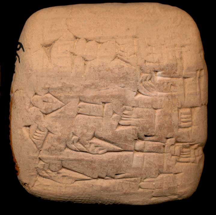 Thumbnail of Cuneiform Tablet (1913.14.0905)