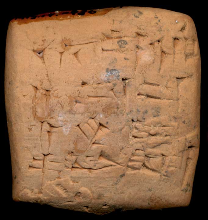 Thumbnail of Cuneiform Tablet (1913.14.0936)