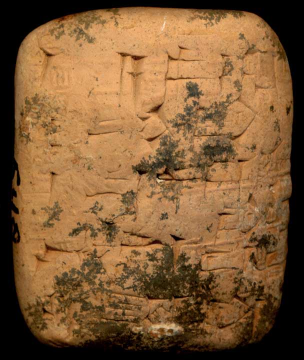 Thumbnail of Cuneiform Tablet (1913.14.0954)