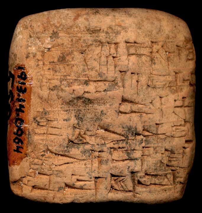 Thumbnail of Cuneiform Tablet (1913.14.0964)