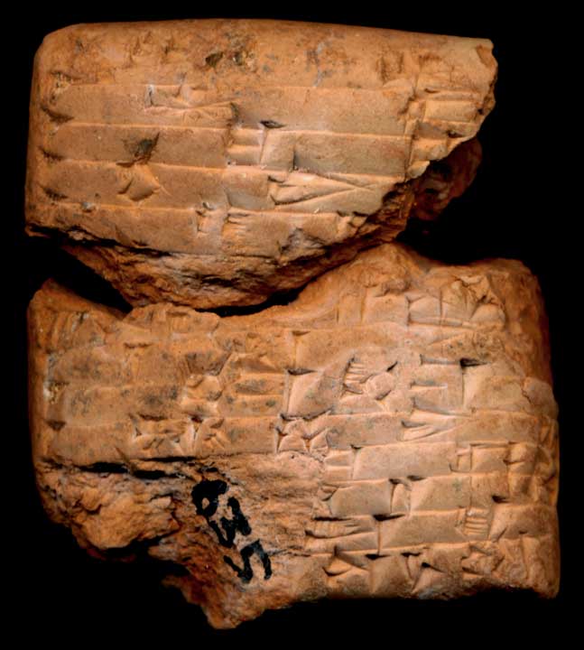 Thumbnail of Cuneiform Tablet (1913.14.1041)