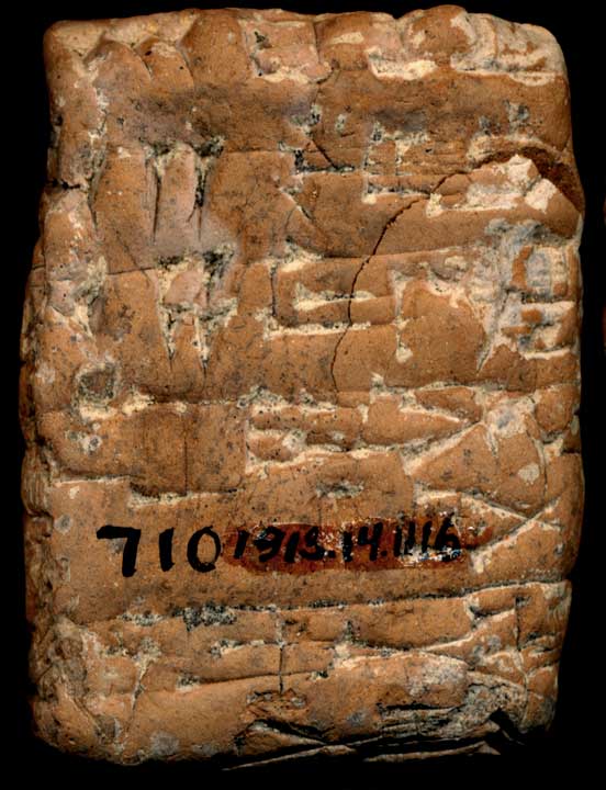 Thumbnail of Cuneiform Tablet (1913.14.1116)