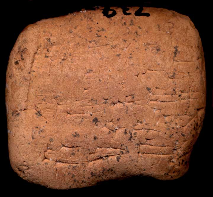 Thumbnail of Cuneiform Tablet (1913.14.1145)