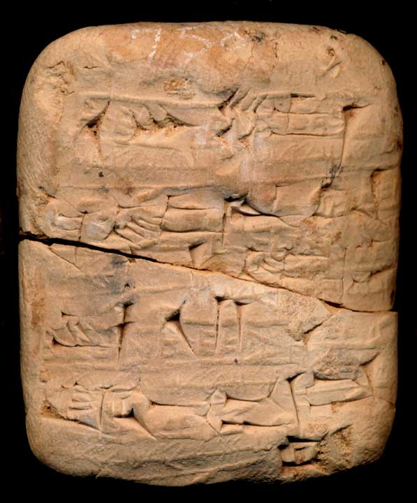 Thumbnail of Cuneiform Tablet (1913.14.1164)
