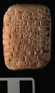 Thumbnail of Ur III Cuneiform Tablet (1913.14.1303)