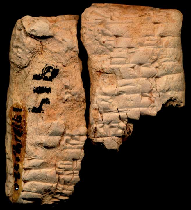Thumbnail of Cuneiform Tablet (1913.14.1320)