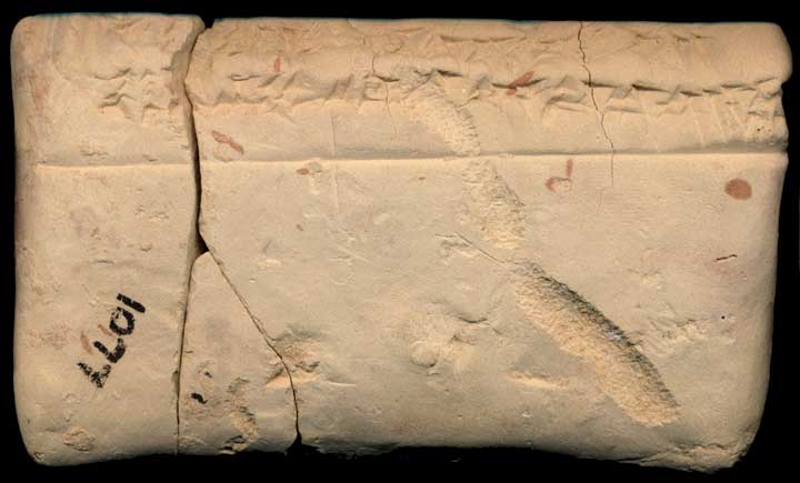 Thumbnail of Cuneiform Tablet (1913.14.1483)