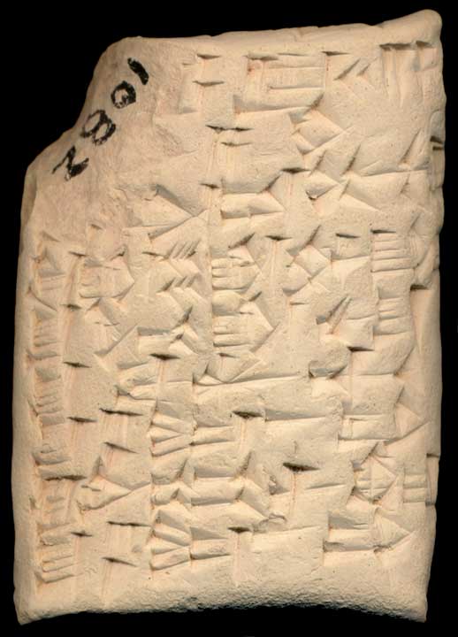 Thumbnail of Cuneiform Tablet (1913.14.1488B)