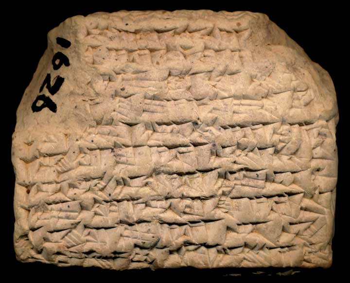 Thumbnail of Neo-Babylonian Cuneiform Tablet (1913.14.1626)