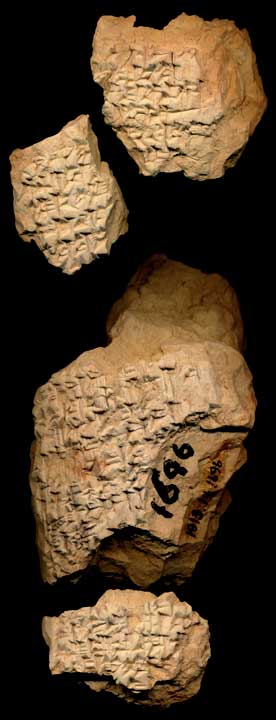 Thumbnail of Neo-Babylonian Cuneiform Tablet (1913.14.1696)