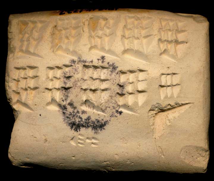 Thumbnail of Neo-Babylonian Cuneiform Tablet (1913.14.1727)