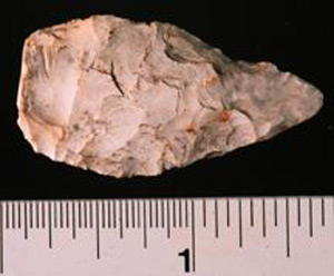 Thumbnail of Stone Tool: Projectile Point (1924.02.0221)