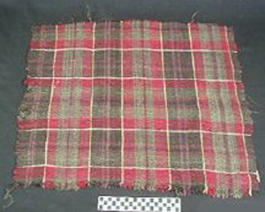 Thumbnail of Material Sample: Cloth Fragment (1925.07.0017)