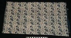 Thumbnail of Bolt of Cloth (1925.07.0043)