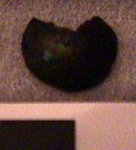 Thumbnail of Fragment (1926.02.0130X)