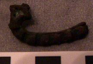 Thumbnail of Fragment (1926.02.0131C)