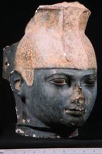Thumbnail of Plaster Cast of Portrait Head of Pharaoh Taharqa (1948.01.0016)