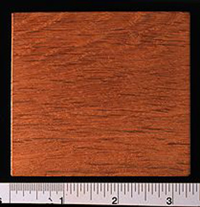 Thumbnail of Display Case for Commemorative Olympic Medallion (1977.01.0520B)