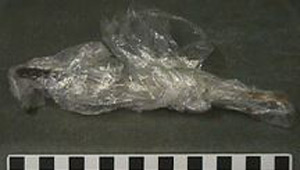 Thumbnail of Black Ware Resin Pot Stirring Stick (1997.15.0066A)