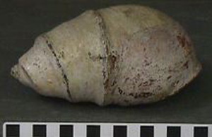 Thumbnail of Festival Effigy Vessel (1997.15.0379)