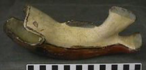 Thumbnail of Festival Effigy Vessel: Muta Bagre (1997.15.0382)
