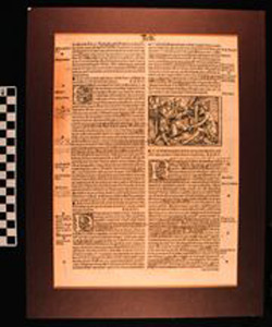 Thumbnail of Folio: Bible, the Book of Job (1930.11.0010)