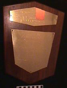 Thumbnail of Plaque: Distinguished Service Citation, American Association for Health, Physical Education, and Recreation (1977.01.0784)