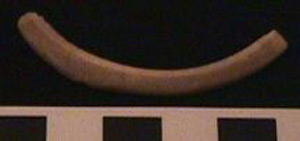 Thumbnail of Fragment (1986.12.0012B)