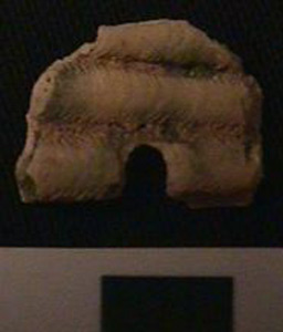 Thumbnail of Bead Fragment (1990.10.0229)