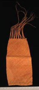 Thumbnail of Bag (1991.14.0022)