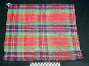 Thumbnail of Material Sample: Cloth Fragment (1925.07.0019)