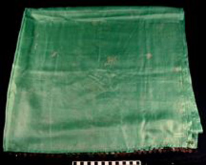 Thumbnail of Veil (1995.10.0001B)