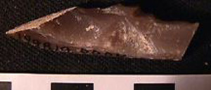 Thumbnail of Stone Tool: Worked Stone (1998.19.0004)