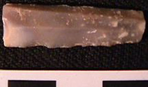 Thumbnail of Stone Tool: Blade Fragment (1998.19.0005)