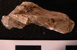 Thumbnail of Geological Specimen: Mineral (1998.19.0008)